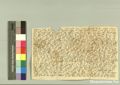 http://images.icar-us.eu/iiif/2/pics%2F227%2FK.._MOM-Bilddateien._~Pannonhalmajpgweb._~Capsarium._~Pann_1360_04_16_207268.jpg/full/120,/0/default.jpg