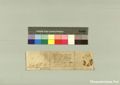 http://images.icar-us.eu/iiif/2/pics%2F227%2FK.._MOM-Bilddateien._~Pannonhalmajpgweb._~Capsarium._~Pann_1362_02_28_207280v.jpg/full/120,/0/default.jpg