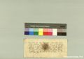 http://images.icar-us.eu/iiif/2/pics%2F227%2FK.._MOM-Bilddateien._~Pannonhalmajpgweb._~Capsarium._~Pann_1364_06_29_207284.jpg/full/120,/0/default.jpg
