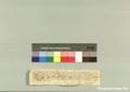 http://images.icar-us.eu/iiif/2/pics%2F227%2FK.._MOM-Bilddateien._~Pannonhalmajpgweb._~Capsarium._~Pann_1423_06_21_207629.jpg/full/120,/0/default.jpg