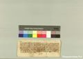 http://images.icar-us.eu/iiif/2/pics%2F227%2FK.._MOM-Bilddateien._~Pannonhalmajpgweb._~Capsarium._~Pann_1425_04_04_207652.jpg/full/120,/0/default.jpg