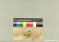 http://images.icar-us.eu/iiif/2/pics%2F227%2FK.._MOM-Bilddateien._~Pannonhalmajpgweb._~Capsarium._~Pann_1425_04_04_207652v.jpg/full/120,/0/default.jpg
