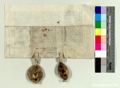 http://images.icar-us.eu/iiif/2/pics%2F43%2FK.._MOM-Bilddateien._~Kremsmuensterjpgweb._~StAKremsmuenster_14260530_v01.jpg/full/120,/0/default.jpg