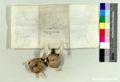 http://images.icar-us.eu/iiif/2/pics%2F43%2FK.._MOM-Bilddateien._~Kremsmuensterjpgweb._~StAKremsmuenster_14940415_v01.jpg/full/120,/0/default.jpg
