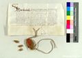 http://images.icar-us.eu/iiif/2/pics%2F66%2FK.._MOM-Bilddateien._~StFlorianjpgweb._~Urkunden._~1400-1499._~StAStFlorian_14630508.jpg/full/120,/0/default.jpg