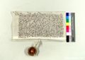 http://images.icar-us.eu/iiif/2/pics%2F66%2FK.._MOM-Bilddateien._~StFlorianjpgweb._~Urkunden._~1400-1499._~StAStFlorian_14700820.jpg/full/120,/0/default.jpg