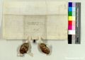 http://images.icar-us.eu/iiif/2/pics%2F66%2FK.._MOM-Bilddateien._~StFlorianjpgweb._~Urkunden._~1400-1499._~StAStFlorian_14970110_v.jpg/full/120,/0/default.jpg