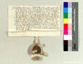 http://images.icar-us.eu/iiif/2/pics%2F66%2FK.._MOM-Bilddateien._~StFlorianjpgweb._~Urkunden._~1500-._~StAStFlorian_15030825_6.jpg/full/120,/0/default.jpg