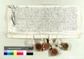 http://images.icar-us.eu/iiif/2/pics%2F66%2FK.._MOM-Bilddateien._~StFlorianjpgweb._~Urkunden._~1500-._~StAStFlorian_15070731.jpg/full/120,/0/default.jpg