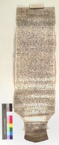 http://images.icar-us.eu/iiif/2/pics%2FAT-DOZA%2FUrkunden%2FDOZA-Urkunden_13171124_r.jpg/full/120,/0/default.jpg