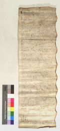 http://images.icar-us.eu/iiif/2/pics%2FAT-DOZA%2FUrkunden%2FDOZA-Urkunden_13210128_r.jpg/full/120,/0/default.jpg