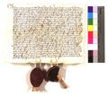 http://images.icar-us.eu/iiif/2/pics%2FAT-StiAMB%2FMbOSB%2FStAMB-Urkunden_15071119_A-0167_r.jpg/full/120,/0/default.jpg