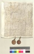 http://images.icar-us.eu/iiif/2/pics%2FBayHStA-KUPassau-St.Nikola%2FBayHStA-KUPassauStNikola_15600509_r.jpg/full/120,/0/default.jpg