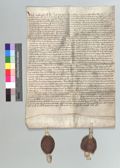 http://images.icar-us.eu/iiif/2/pics%2FCH-StiASG%2FUrkunden%2FStiASG_1244~12449999_FF3-A3_r.jpg/full/120,/0/default.jpg