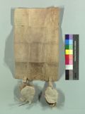 http://images.icar-us.eu/iiif/2/pics%2FCH-StiASG%2FUrkunden%2FStiASG_12710219_FF4-B38_v.jpg/full/120,/0/default.jpg