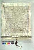 http://images.icar-us.eu/iiif/2/pics%2FCH-StiASG%2FUrkunden%2FStiASG_14410721_W4-E4_r.jpg/full/120,/0/default.jpg