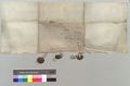 http://images.icar-us.eu/iiif/2/pics%2FCH-StiASG%2FUrkunden%2FStiASG_14670220_PPP4-Nr4_v.jpg/full/120,/0/default.jpg