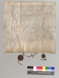 http://images.icar-us.eu/iiif/2/pics%2FCH-StiASG%2FUrkunden%2FStiASG_14810522_HH4-G1_r.jpg/full/120,/0/default.jpg