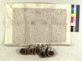 http://images.icar-us.eu/iiif/2/pics%2FDE-BayHStA%2FDKPassau%2FBayHStA-Passau-Domkapitel_01073_r.jpg/full/120,/0/default.jpg