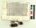 http://images.icar-us.eu/iiif/2/pics%2FDE-BayHStA%2FKUFuerstenzell%2FBayHStA-KUFuerstenzell_14480821_00603_r.jpg/full/120,/0/default.jpg