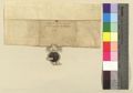 http://images.icar-us.eu/iiif/2/pics%2FDE-StABamberg%2FLangheim%2Fde_sta-bamberg_kl-langheim-uk_1399-xii-21__6f86fb9d-4700-4f21-b230-1ee93ae3fe7a_v.JPG/full/120,/0/default.jpg