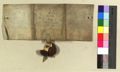 http://images.icar-us.eu/iiif/2/pics%2FDE-StANuernberg%2Fhl-geist-spital%2Fde_sta-nuernberg_hl-geist-spital-uk_0479__22ec2e28-42d2-4632-b99a-713083e759ec_v.JPG/full/120,/0/default.jpg