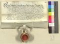http://images.icar-us.eu/iiif/2/pics%2FDE-StANuernberg%2Fhl-geist-spital%2Fde_sta-nuernberg_hl-geist-spital-uk_0762-1611-dezember-9__b1c5bd7c-4644-45d7-9246-eb08d6be78c8_r.JPG/full/120,/0/default.jpg