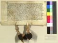 http://images.icar-us.eu/iiif/2/pics%2FDE-StadtAWuerzburg%2FWuerzburger-Ratsurkunden%2Fde_stadtarchivwuerzburg_wuerzburgerratsurkunden_0226_14490224_r.JPG/full/120,/0/default.jpg