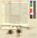 http://images.icar-us.eu/iiif/2/pics%2FDE-StadtAWuerzburg%2FWuerzburger-Ratsurkunden%2Fde_stadtarchivwuerzburg_wuerzburgerratsurkunden_2265_14960223_r.JPG/full/120,/0/default.jpg